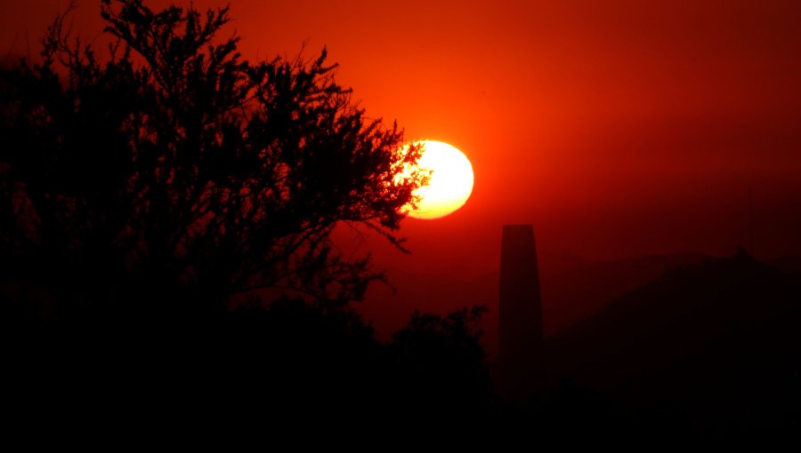 Ocho incendios forestales se reportan como activos según Senapred